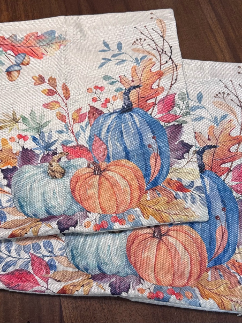 2 Fall Pumpkin Pillow Covers 19.5x-19.5Blue Orange Watercolor Autumn-0212